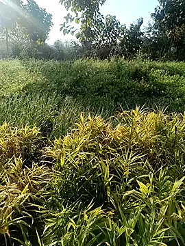 Desi Rider Aadi online show from 12/30/24, 03:47