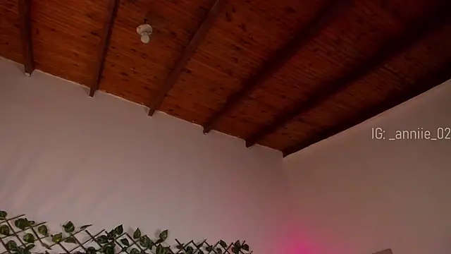 annie barozzi online show from 01/16/25, 01:36