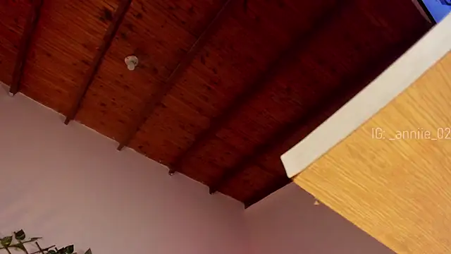 annie barozzi online show from 01/16/25, 04:39