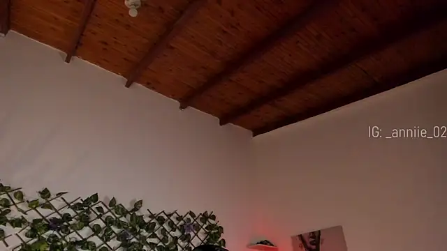 annie barozzi online show from 01/21/25, 01:32