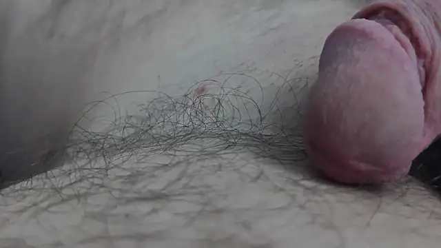 Fist-my-ass online show from 11/24/25, 08:03