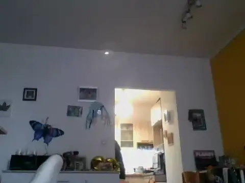 82liska online show from 11/09/25, 11:19