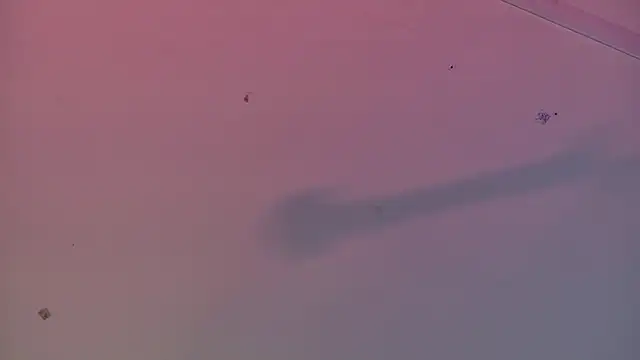 Scarlett collins02 online show from 03/22/25, 08:08