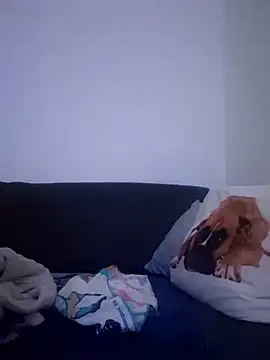 cuci45 online show from 12/21/25, 01:13