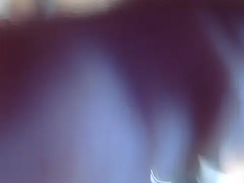 Snapshot of OSIRlS chatting on 12/12/24, 09:37 OSIRlS online show from 12/12/24, 09:37