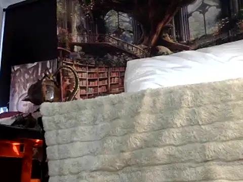 Snapshot of OSIRlS chatting on 01/26/25, 07:31 OSIRlS online show from 01/26/25, 07:31