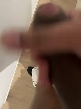 dickmetiss online show from 01/29/25, 02:32