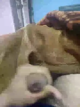 Snapshot of Deshilund9 chatting on 12/26/24, 09:01 Deshilund9 online show from 12/26/24, 09:01