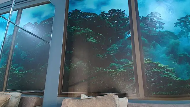 JONAS SMITH  online show from 02/01/25, 06:29