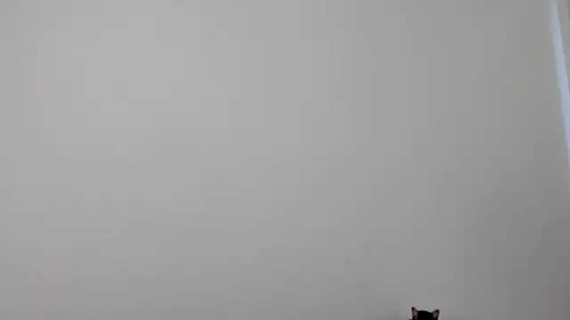 All yours555 online show from 10/17/25, 08:55