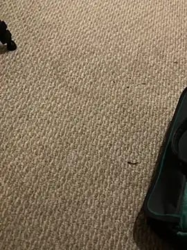 1Lustfully yours online show from 11/10/25, 07:57