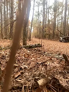 Snapshot of Themechanic420 chatting on 12/14/24, 07:14 Themechanic420 online show from 12/14/24, 07:14