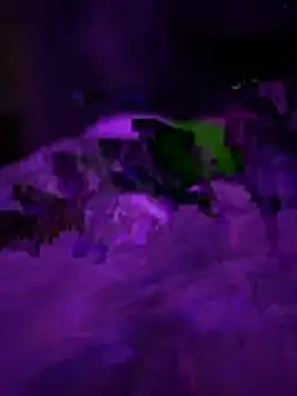 Snapshot of Themechanic420 chatting on 02/01/26, 02:37 Themechanic420 online show from 02/01/26, 02:37