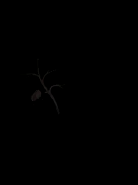 sxxxxxxlll online show from 11/15/25, 02:53