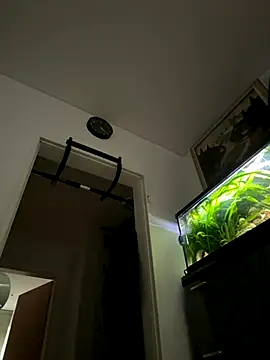 Toyjungee online show from 09/22/25, 06:59