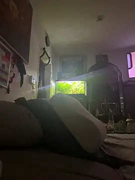 Toyjungee online show from 01/12/26, 08:08