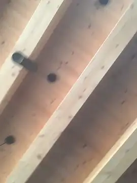 Snapshot of Fellix chatting on 12/11/24, 11:30 Fellix online show from 12/11/24, 11:30