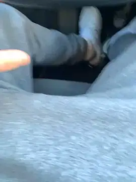 Snapshot of Fellix chatting on 12/28/24, 08:37 Fellix online show from 12/28/24, 08:37