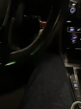 Snapshot of Fellix chatting on 01/03/25, 05:10 Fellix online show from 01/03/25, 05:10