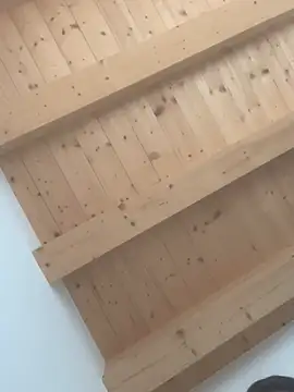 Snapshot of Fellix chatting on 02/24/25, 11:43 Fellix online show from 02/24/25, 11:43