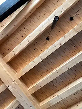 Snapshot of Fellix chatting on 10/17/25, 10:29 Fellix online show from 10/17/25, 10:29