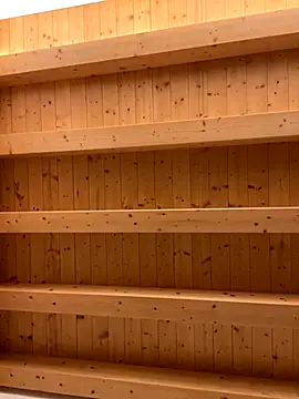 Snapshot of Fellix chatting on 11/17/25, 08:42 Fellix online show from 11/17/25, 08:42