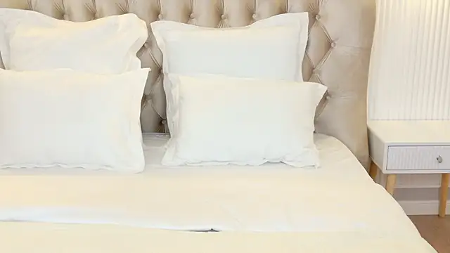 LilyRaisa online show from 03/15/25, 04:57