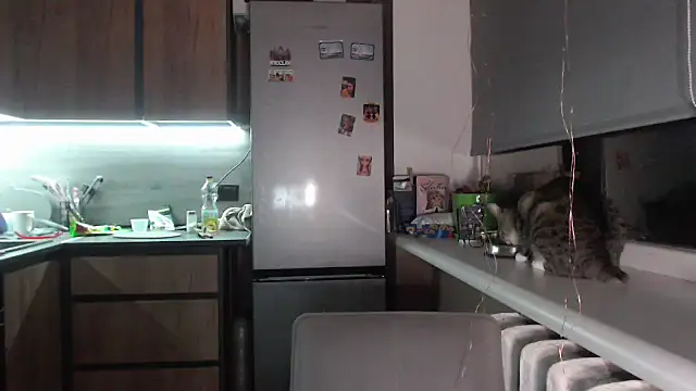 delightful sofi online show from 09/28/25, 07:19