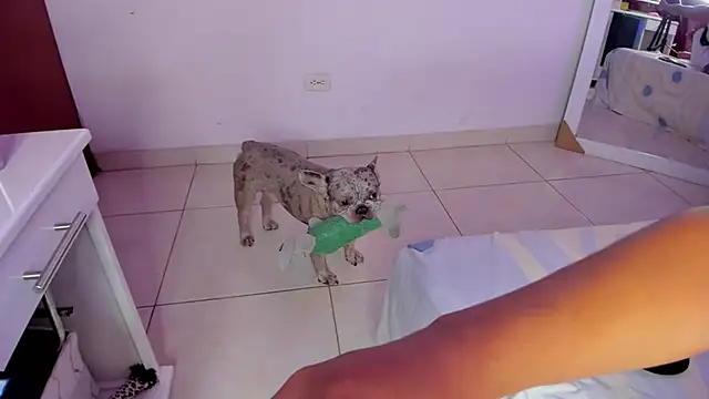 SophiieWilson  online show from 10/27/25, 03:43