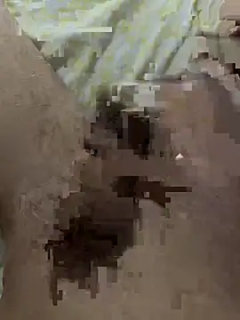 papi88 online show from 03/14/26, 03:34