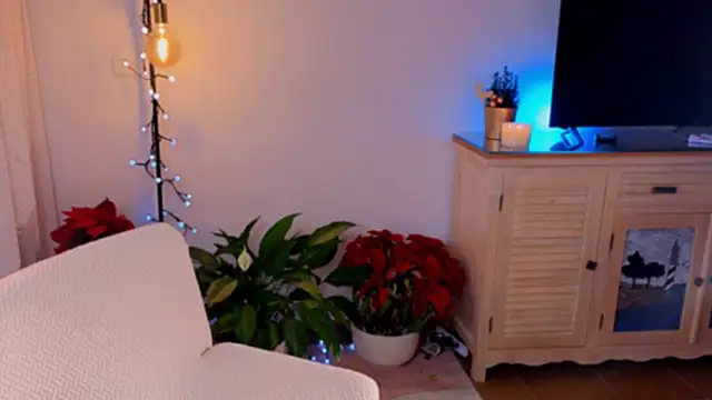 Snapshot of anabelcurvy chatting on 12/08/24, 04:07 anabelcurvy online show from 12/08/24, 04:07