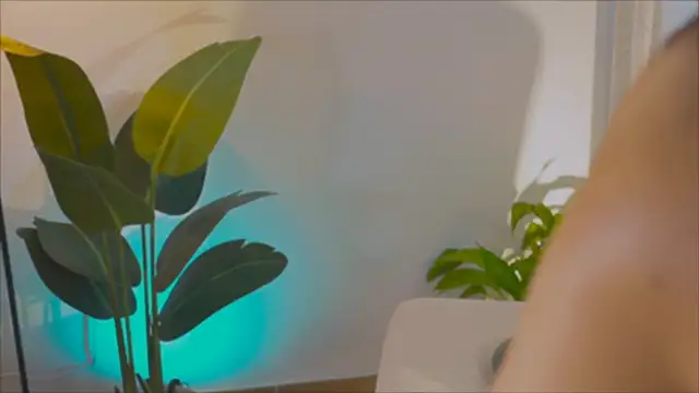 Snapshot of anabelcurvy chatting on 02/06/25, 04:03 anabelcurvy online show from 02/06/25, 04:03