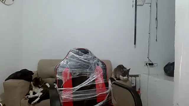 angelamarie1 online show from 09/29/25, 11:04