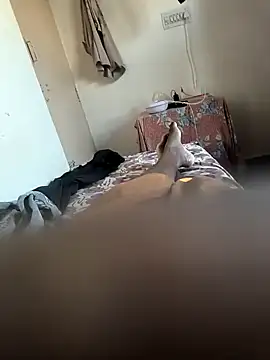 Mallupaiyanaachu online show from 02/05/25, 02:08