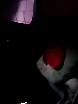 Snapshot of 121fff chatting on 10/09/25, 09:40 121fff online show from 10/09/25, 09:40