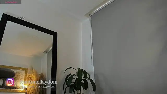 antonella dom1 online show from 10/21/25, 10:21