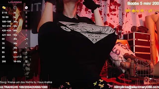 Silentmary online show from 10/27/25, 09:02