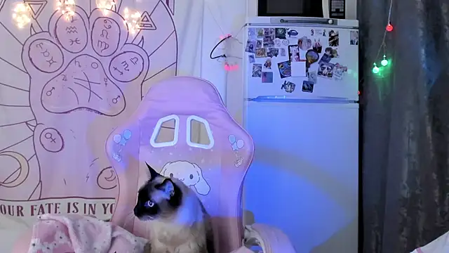 Snapshot of Holy420lolii chatting on 01/18/26, 06:23 Holy420lolii online show from 01/18/26, 06:23