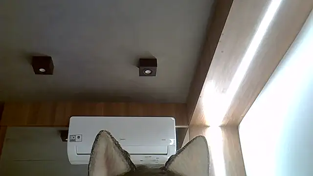 Skinny-Kitten online show from 09/20/25, 02:45