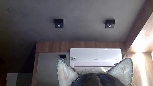 Skinny-Kitten online show from 12/19/25, 11:23