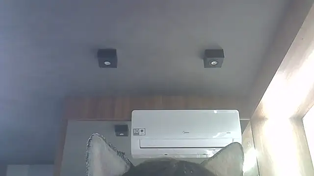 Skinny-Kitten online show from 01/16/26, 04:05