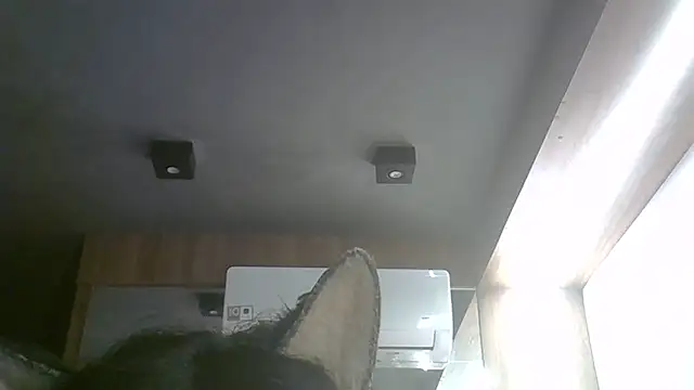 Skinny-Kitten online show from 05/17/26, 11:17