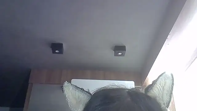 Skinny-Kitten online show from 05/22/26, 03:06