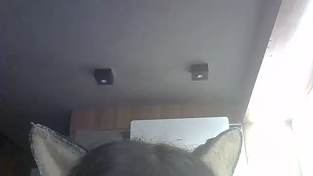 Skinny-Kitten online show from 05/27/26, 04:37