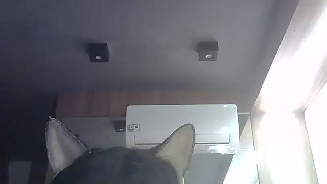 Skinny-Kitten online show from 05/28/26, 04:59