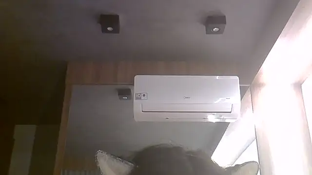 Skinny-Kitten online show from 06/08/26, 01:28