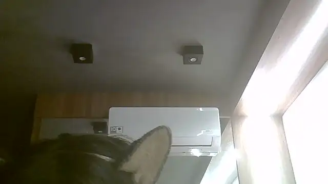 Skinny-Kitten online show from 06/17/26, 03:46
