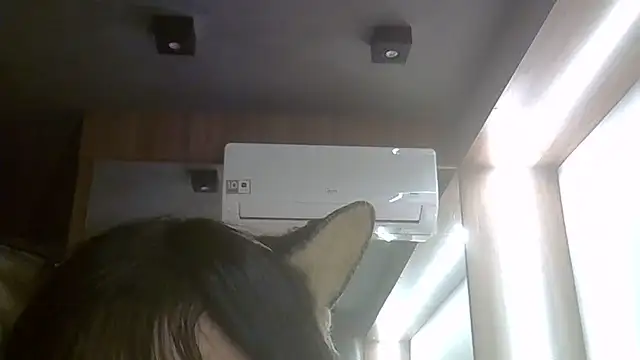 Skinny-Kitten online show from 06/24/26, 01:37