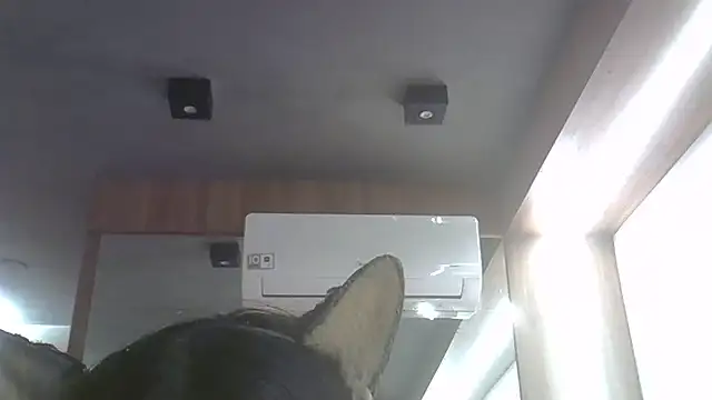 Skinny-Kitten online show from 06/25/26, 11:31