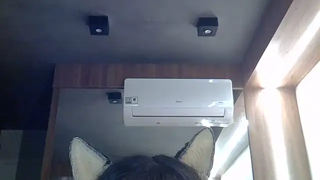 Skinny-Kitten online show from 06/26/26, 11:36